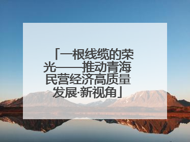 一根线缆的荣光——推动青海民营经济高质量发展·新视角
