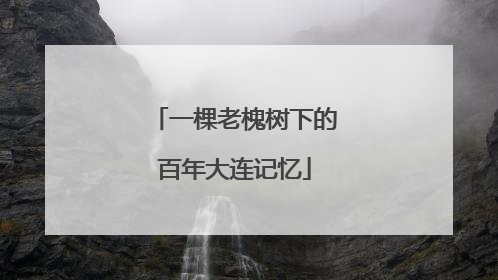 一棵老槐树下的百年大连记忆