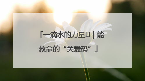 一滴水的力量㉖｜能救命的“关爱码”