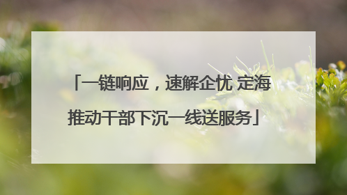 一链响应，速解企忧 定海推动干部下沉一线送服务