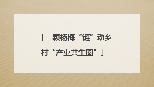 一颗杨梅“链”动乡村“产业共生圈”