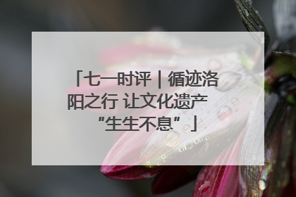 七一时评｜循迹洛阳之行 让文化遗产“生生不息”
