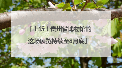 上新！贵州省博物馆的这场展览持续至8月底