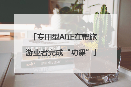 专用型AI正在帮旅游业者完成“功课”