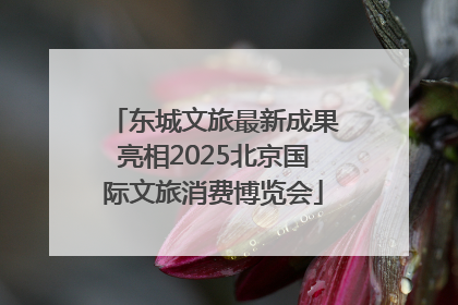 东城文旅最新成果亮相2025北京国际文旅消费博览会