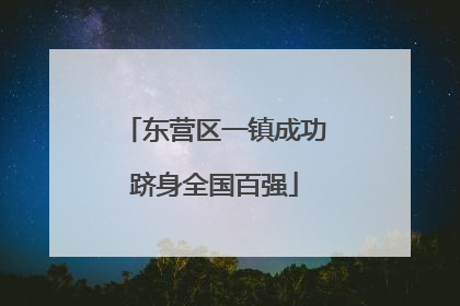 东营区一镇成功跻身全国百强