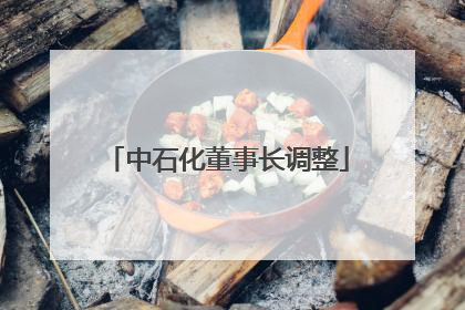 中石化董事长调整