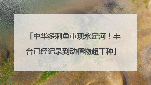 中华多刺鱼重现永定河！丰台已经记录到动植物超千种