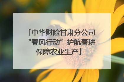 中华财险甘肃分公司“春风行动”护航春耕 保障农业生产