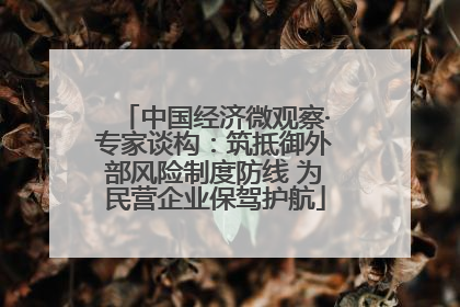 中国经济微观察·专家谈构：筑抵御外部风险制度防线 为民营企业保驾护航