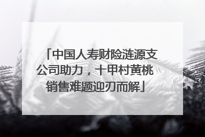 中国人寿财险涟源支公司助力，十甲村黄桃销售难题迎刃而解