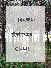 中国成功发射中星9C卫星