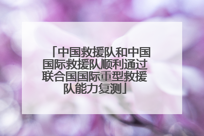 中国救援队和中国国际救援队顺利通过联合国国际重型救援队能力复测