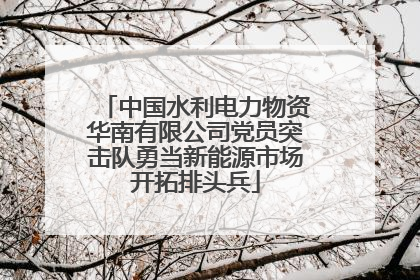 中国水利电力物资华南有限公司党员突击队勇当新能源市场开拓排头兵