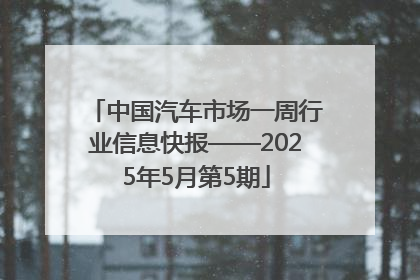 中国汽车市场一周行业信息快报——2025年5月第5期