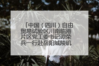 中国（四川）自由贸易试验区川南临港片区党工委书记谭荣兵一行赴岳阳城陵矶综保区考察