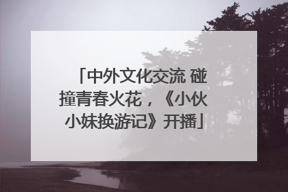 中外文化交流 碰撞青春火花，《小伙小妹换游记》开播