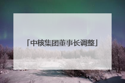 中核集团董事长调整