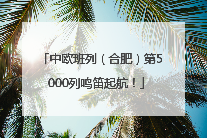 中欧班列（合肥）第5000列鸣笛起航！