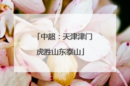 中超：天津津门虎胜山东泰山
