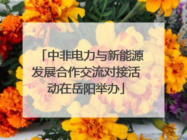中非电力与新能源发展合作交流对接活动在岳阳举办