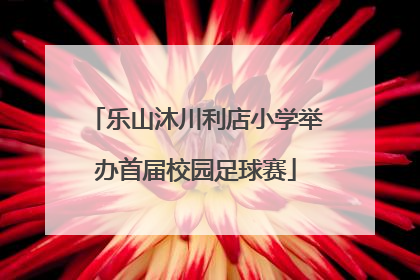 乐山沐川利店小学举办首届校园足球赛