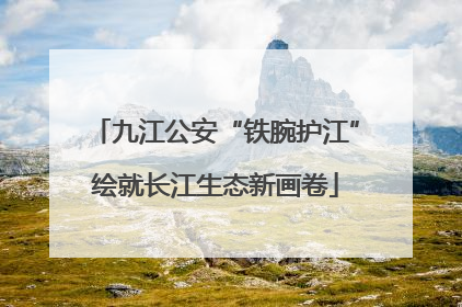 九江公安“铁腕护江”绘就长江生态新画卷