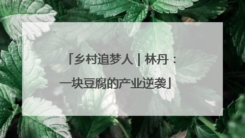 乡村追梦人｜林丹：一块豆腐的产业逆袭