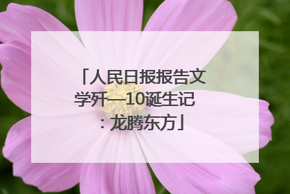 人民日报报告文学歼—10诞生记：龙腾东方