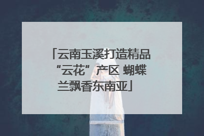 云南玉溪打造精品“云花”产区 蝴蝶兰飘香东南亚