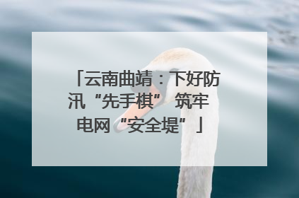 云南曲靖：下好防汛“先手棋” 筑牢电网“安全堤”