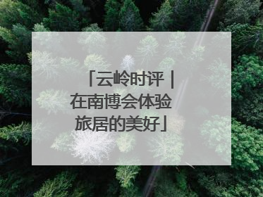 云岭时评｜在南博会体验旅居的美好