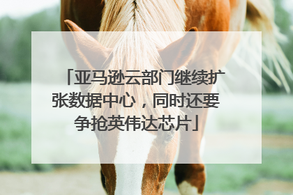 亚马逊云部门继续扩张数据中心，同时还要争抢英伟达芯片