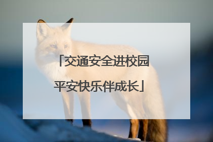 交通安全进校园 平安快乐伴成长