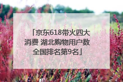 京东618带火四大消费 湖北购物用户数全国排名第9名