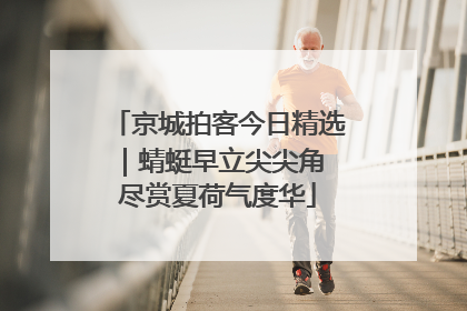 京城拍客今日精选｜蜻蜓早立尖尖角 尽赏夏荷气度华