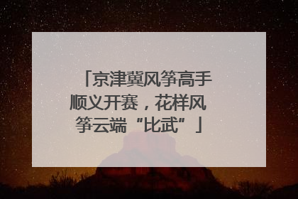 京津冀风筝高手顺义开赛，花样风筝云端“比武”
