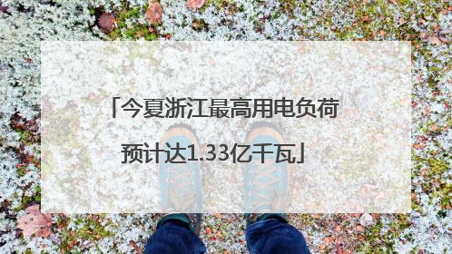 今夏浙江最高用电负荷预计达1.33亿千瓦