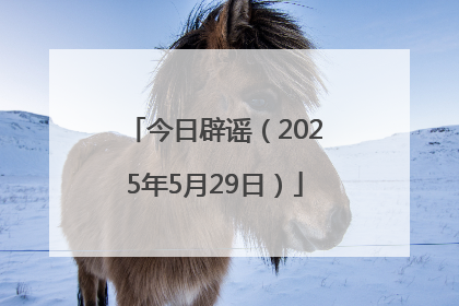 今日辟谣（2025年5月29日）