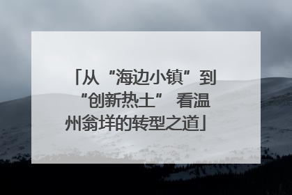 从“海边小镇”到“创新热土” 看温州翁垟的转型之道