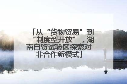 从“货物贸易”到“制度型开放”，湖南自贸试验区探索对非合作新模式