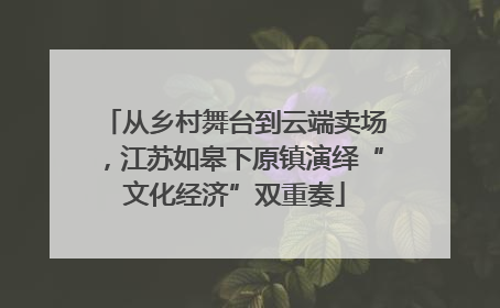 从乡村舞台到云端卖场，江苏如皋下原镇演绎“文化经济”双重奏