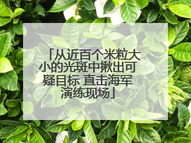 从近百个米粒大小的光斑中揪出可疑目标 直击海军演练现场