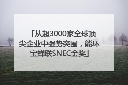 从超3000家全球顶尖企业中强势突围，能环宝蝉联SNEC金奖