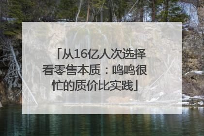 从16亿人次选择看零售本质：鸣鸣很忙的质价比实践
