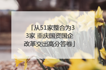 从51家整合为33家 重庆国资国企改革交出高分答卷