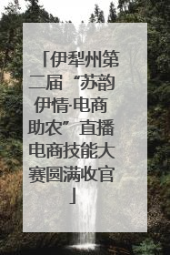 伊犁州第二届“苏韵伊情·电商助农”直播电商技能大赛圆满收官