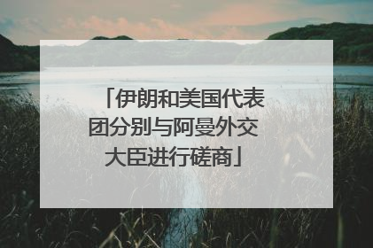伊朗和美国代表团分别与阿曼外交大臣进行磋商