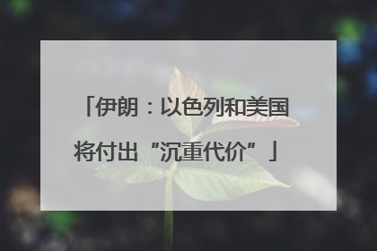 伊朗：以色列和美国将付出“沉重代价”