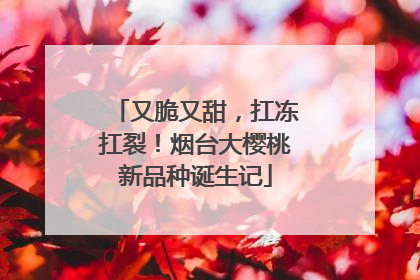 又脆又甜，扛冻扛裂！烟台大樱桃新品种诞生记